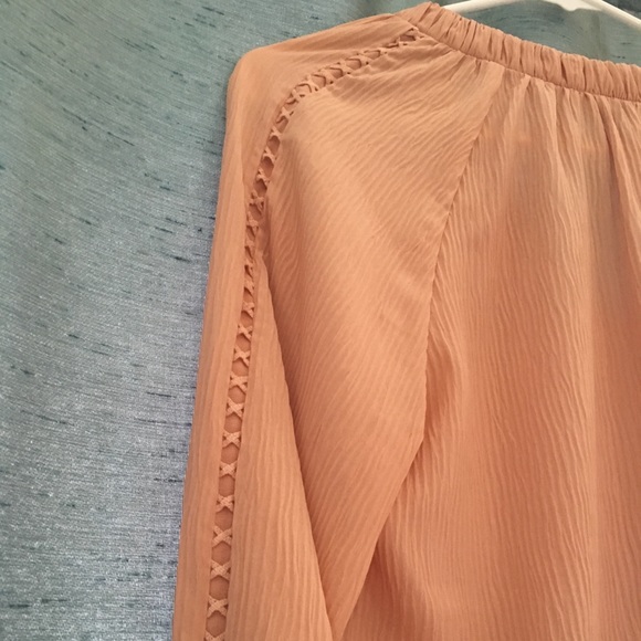 Revolve sheer chiffon blouse long sleeve blush - Picture 5 of 8